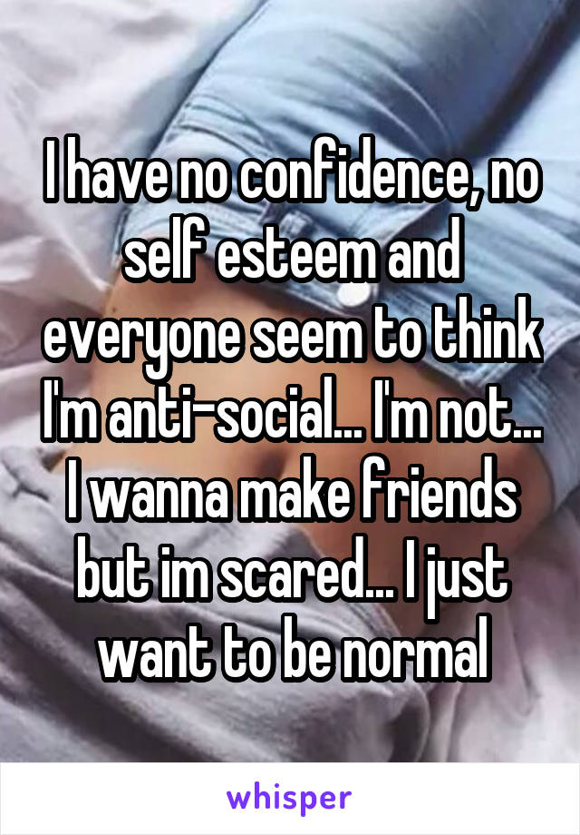 I have no confidence, no self esteem and everyone seem to think I'm anti-social... I'm not... I wanna make friends but im scared... I just want to be normal