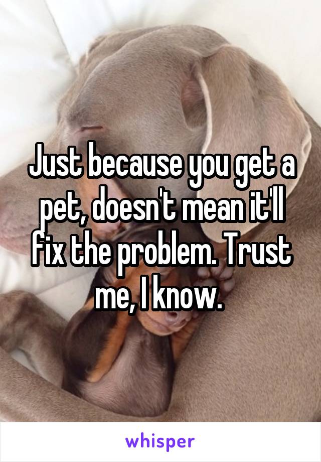 Just because you get a pet, doesn't mean it'll fix the problem. Trust me, I know. 