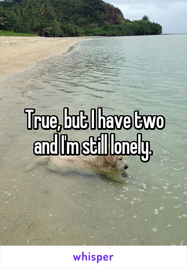 True, but I have two and I'm still lonely. 