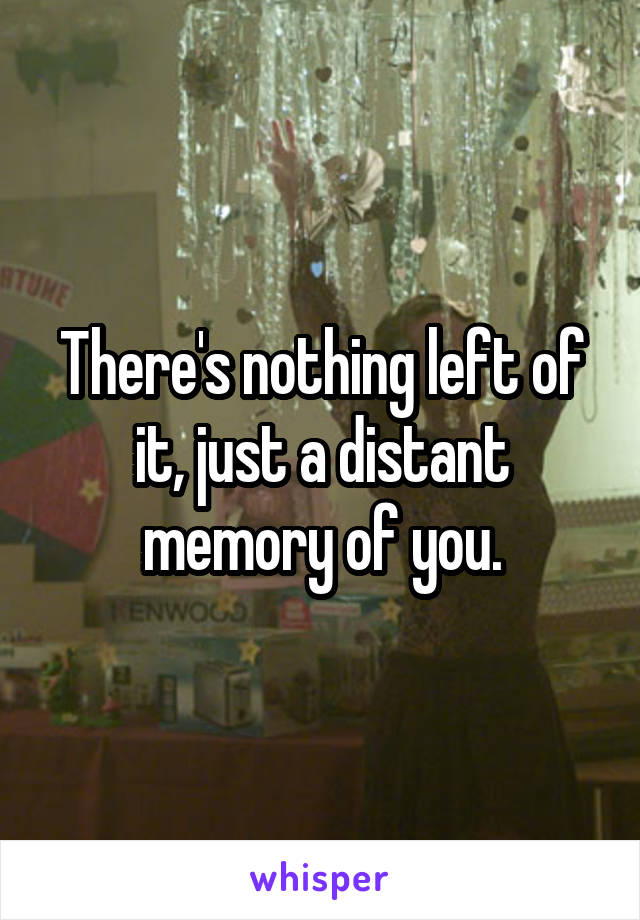 There's nothing left of it, just a distant memory of you.