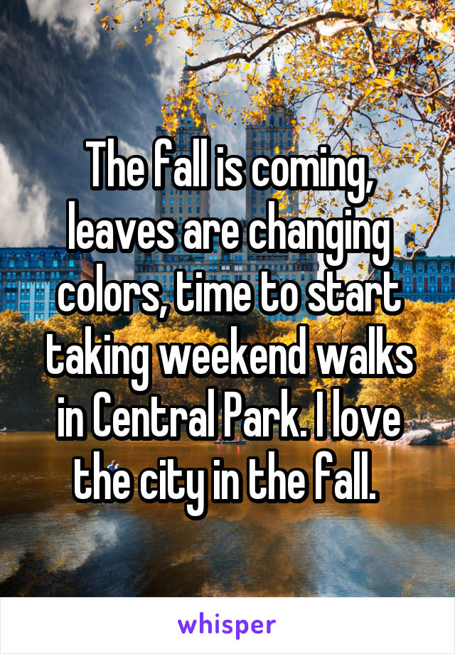 The fall is coming, leaves are changing colors, time to start taking weekend walks in Central Park. I love the city in the fall. 