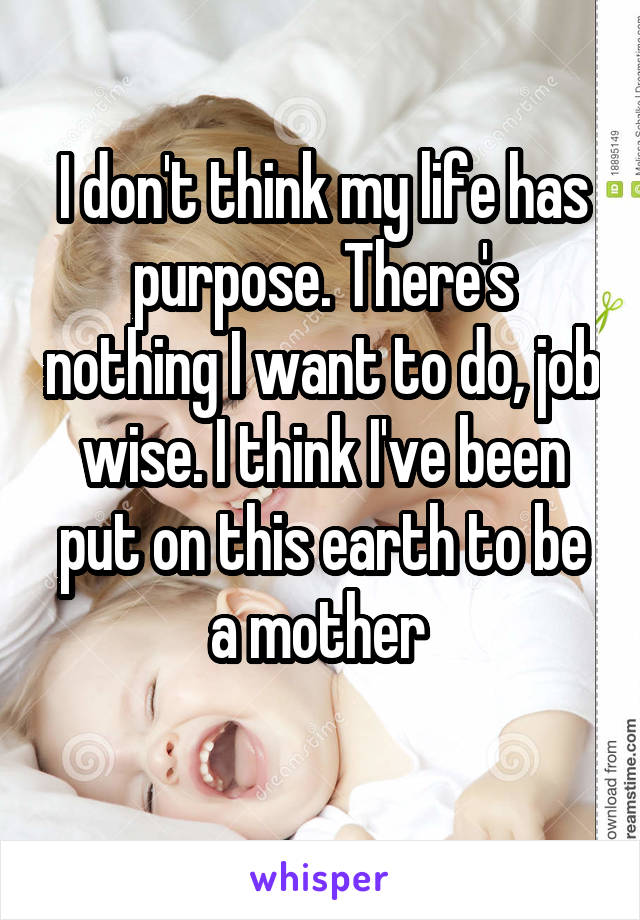 I don't think my life has purpose. There's nothing I want to do, job wise. I think I've been put on this earth to be a mother 
