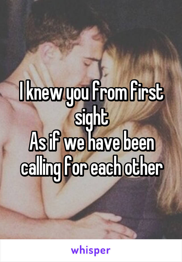 I knew you from first sight
As if we have been calling for each other