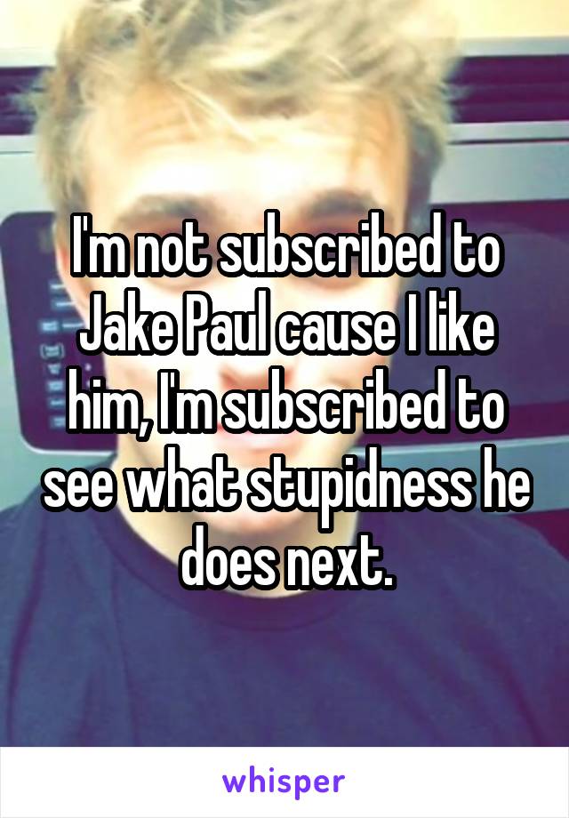 I'm not subscribed to Jake Paul cause I like him, I'm subscribed to see what stupidness he does next.