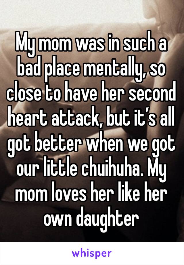 My mom was in such a bad place mentally, so close to have her second heart attack, but it’s all got better when we got our little chuihuha. My mom loves her like her own daughter 