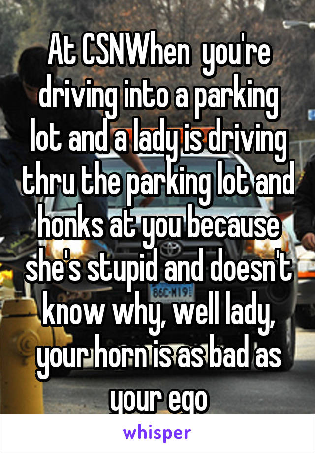 At CSNWhen  you're driving into a parking lot and a lady is driving thru the parking lot and honks at you because she's stupid and doesn't know why, well lady, your horn is as bad as your ego