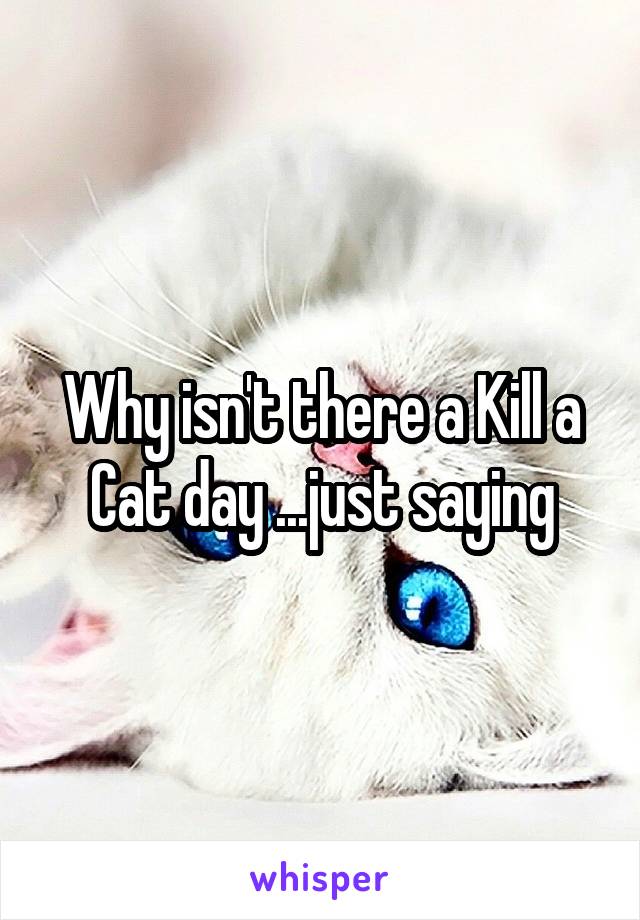 Why isn't there a Kill a Cat day ...just saying