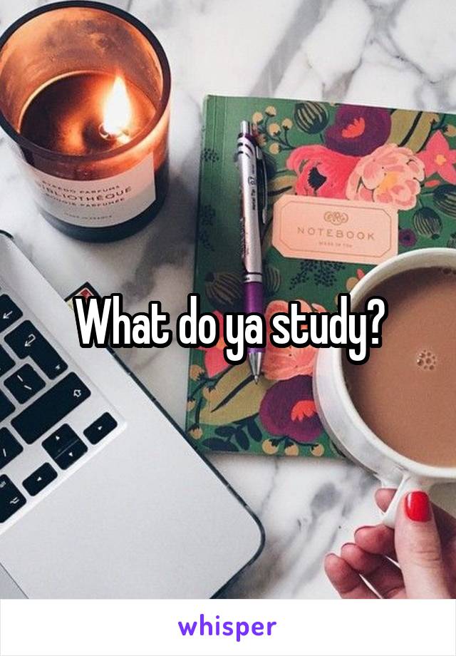 What do ya study?
