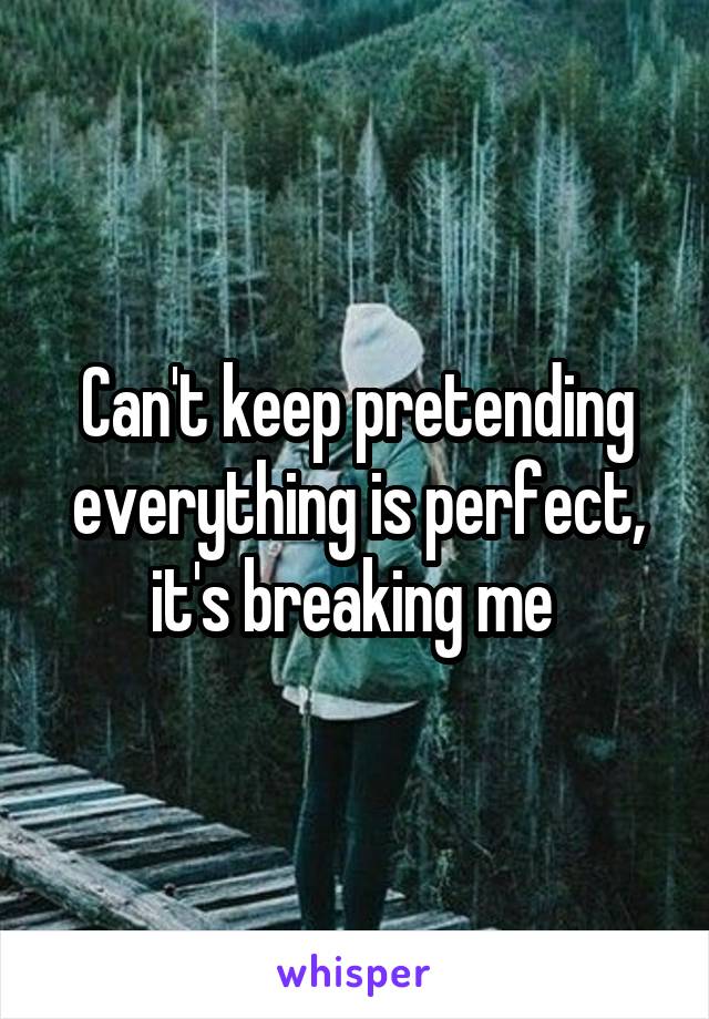 Can't keep pretending everything is perfect, it's breaking me 