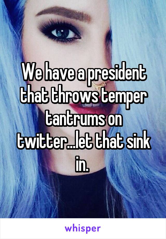 We have a president that throws temper tantrums on twitter...let that sink in. 