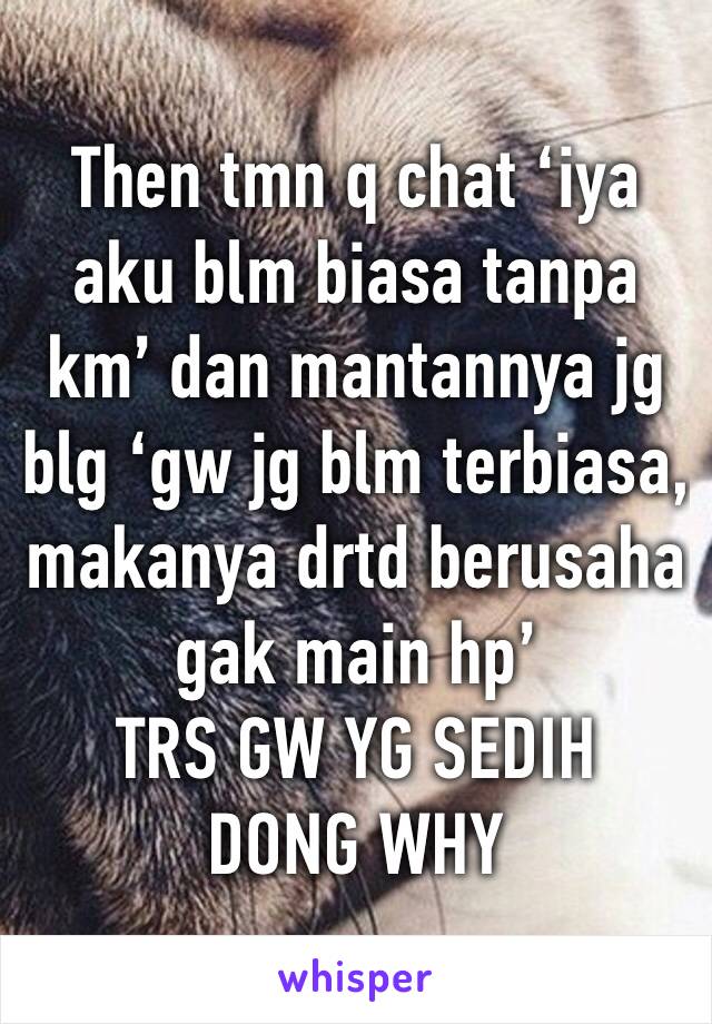 Then tmn q chat ‘iya aku blm biasa tanpa km’ dan mantannya jg blg ‘gw jg blm terbiasa, makanya drtd berusaha gak main hp’ 
TRS GW YG SEDIH DONG WHY 