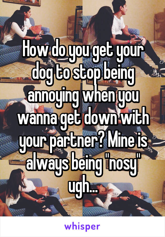 How do you get your dog to stop being annoying when you wanna get down with your partner? Mine is always being "nosy" ugh...