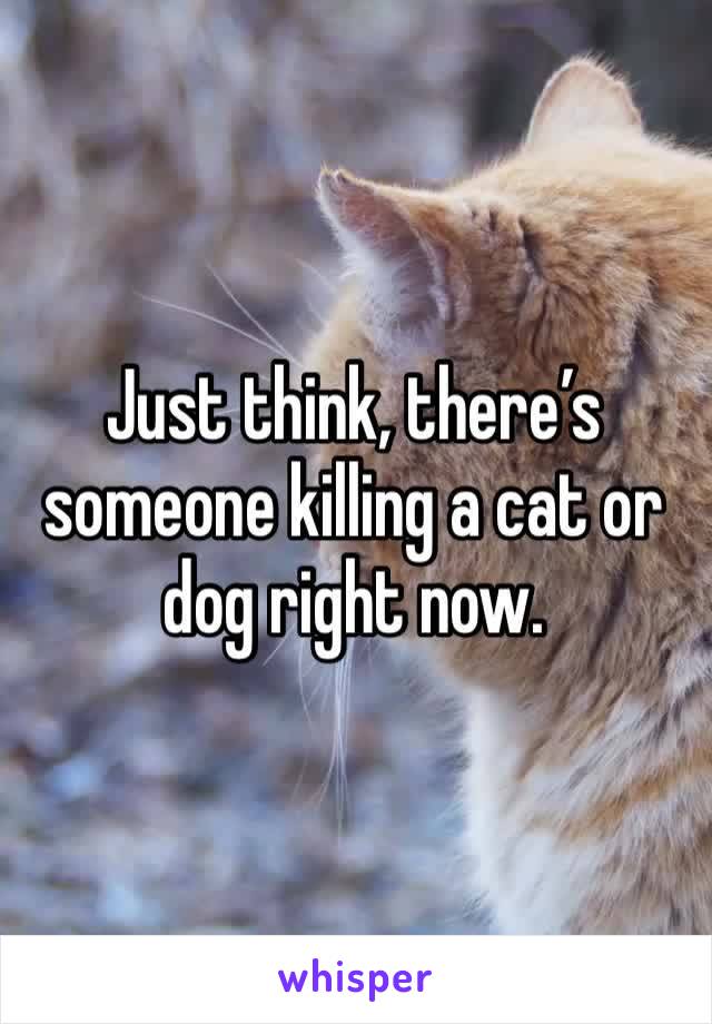 Just think, there’s someone killing a cat or dog right now.