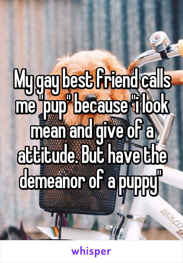 My gay best friend calls me "pup" because "i look mean and give of a attitude. But have the demeanor of a puppy" 