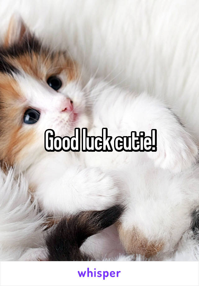 Good luck cutie!