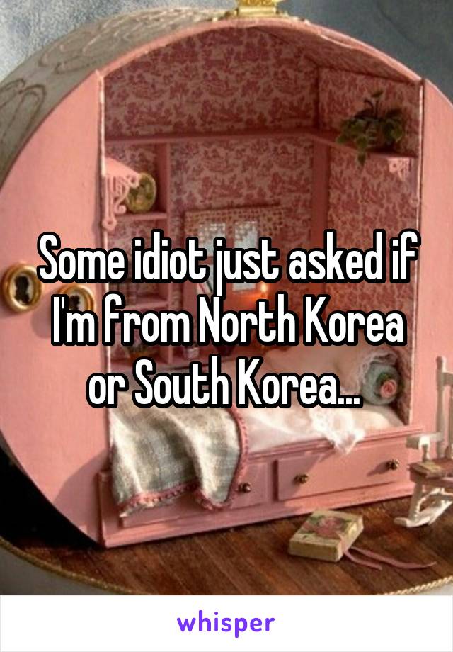 Some idiot just asked if I'm from North Korea or South Korea... 