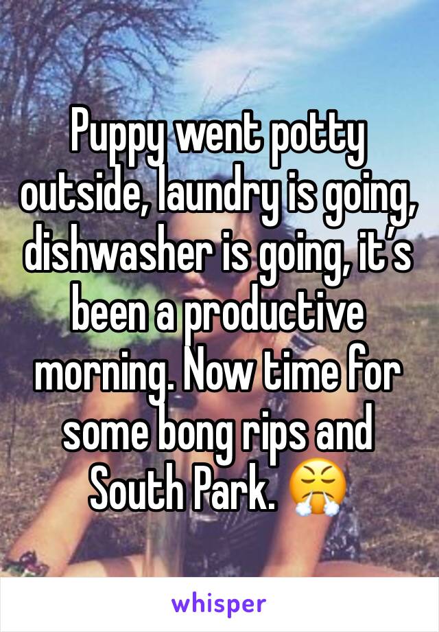 Puppy went potty outside, laundry is going, dishwasher is going, it’s been a productive morning. Now time for some bong rips and South Park. 😤