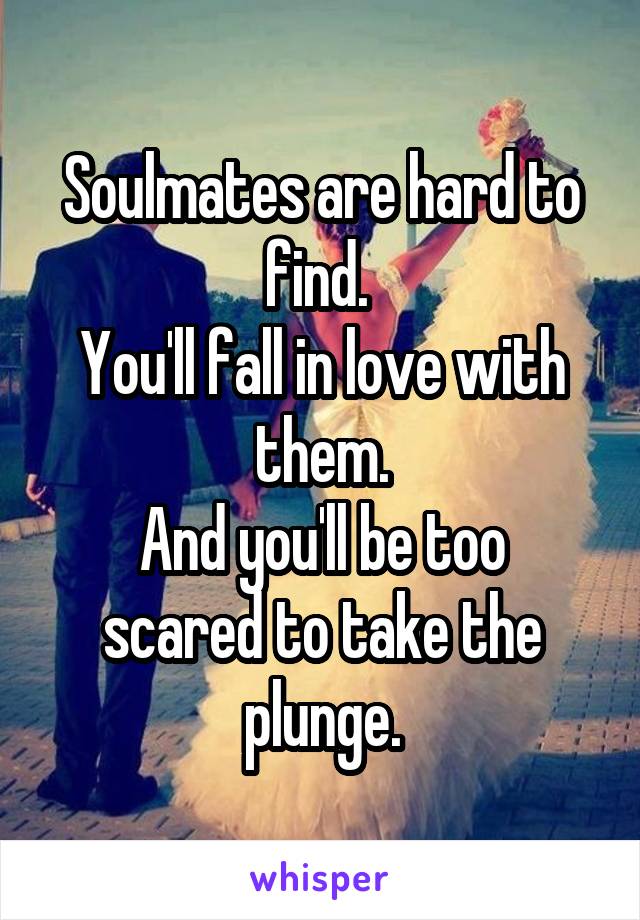 Soulmates are hard to find. 
You'll fall in love with them.
And you'll be too scared to take the plunge.