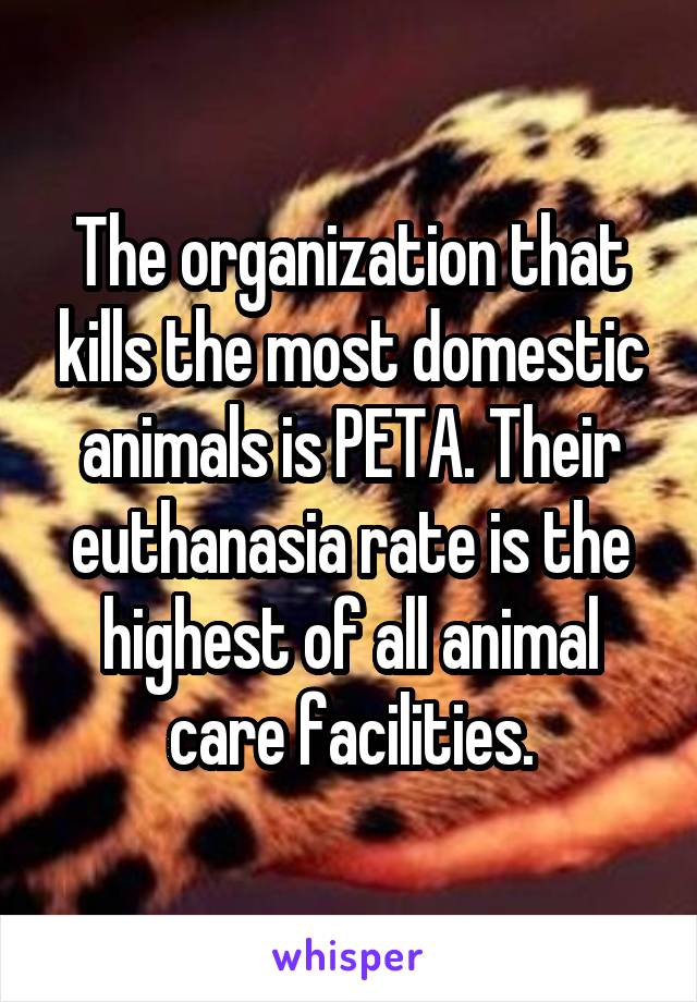 The organization that kills the most domestic animals is PETA. Their euthanasia rate is the highest of all animal care facilities.