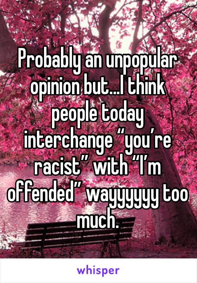 Probably an unpopular opinion but...I think people today interchange “you’re racist” with “I’m offended” wayyyyyy too much. 