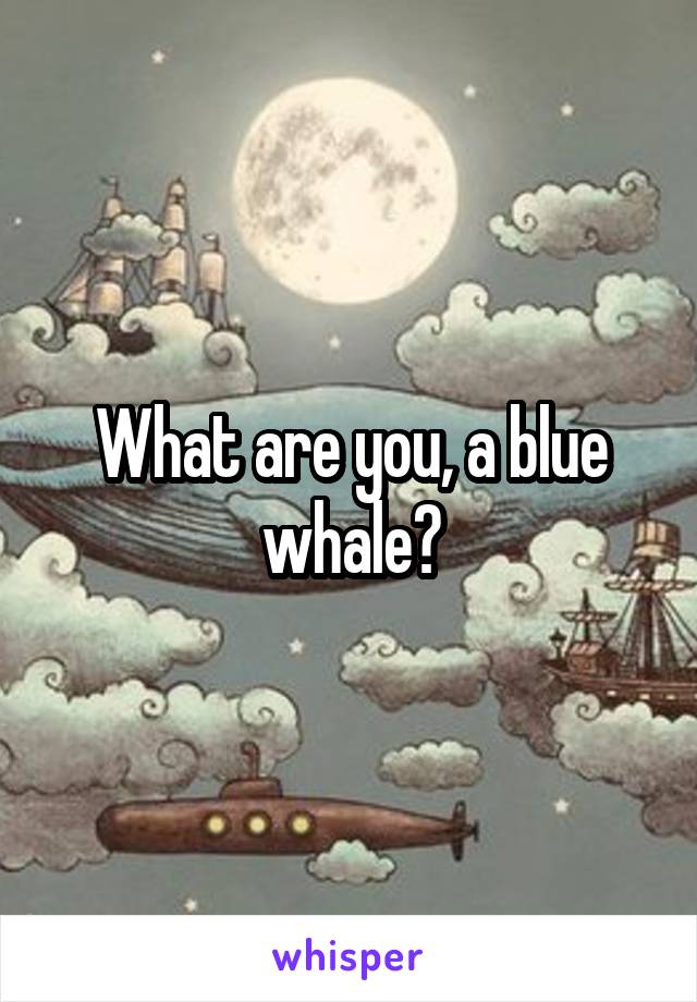 What are you, a blue whale?