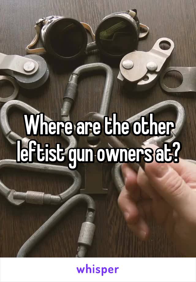 Where are the other leftist gun owners at?