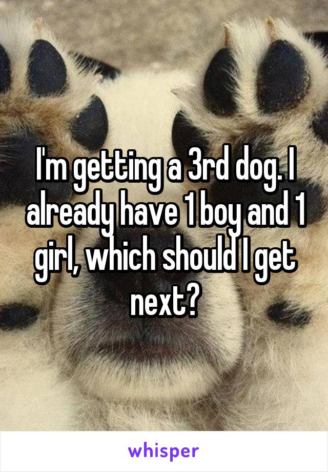 I'm getting a 3rd dog. I already have 1 boy and 1 girl, which should I get next?