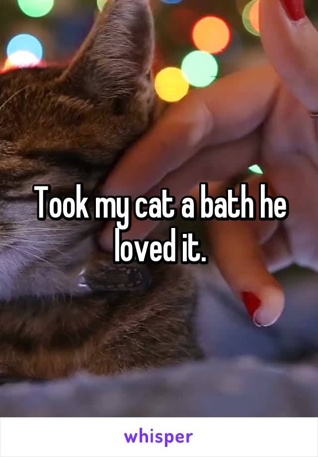 Took my cat a bath he loved it.