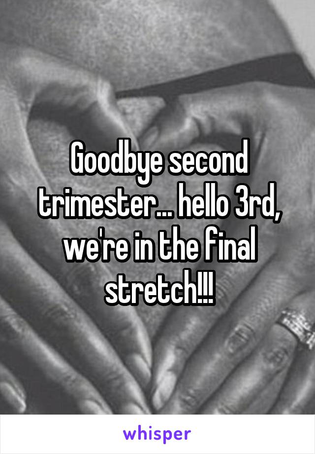 Goodbye second trimester... hello 3rd, we're in the final stretch!!!