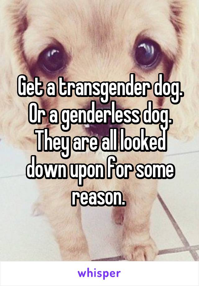 Get a transgender dog. Or a genderless dog. They are all looked down upon for some reason. 