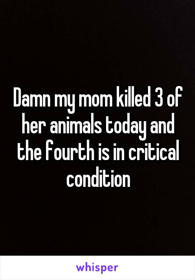 Damn my mom killed 3 of her animals today and the fourth is in critical condition