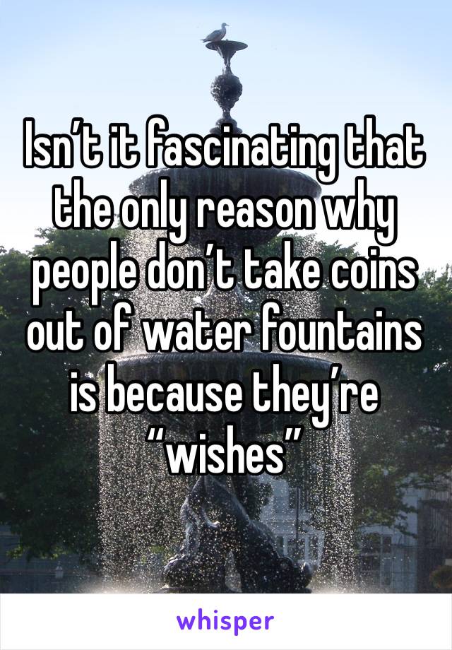 Isn’t it fascinating that the only reason why people don’t take coins out of water fountains is because they’re “wishes”