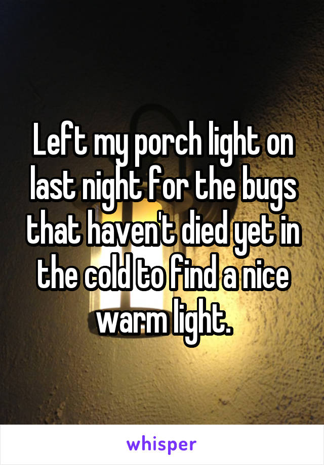 Left my porch light on last night for the bugs that haven't died yet in the cold to find a nice warm light.