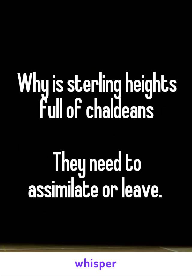 Why is sterling heights full of chaldeans

They need to assimilate or leave. 