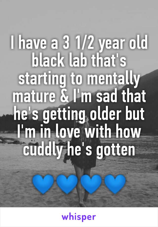 I have a 3 1/2 year old black lab that's starting to mentally mature & I'm sad that he's getting older but I'm in love with how cuddly he's gotten

💙💙💙💙