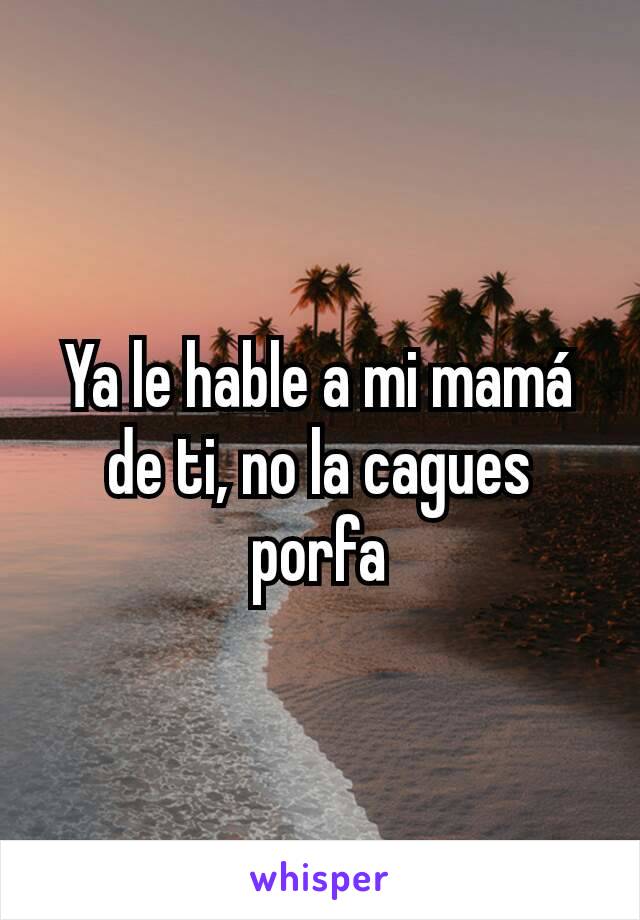 Ya le hable a mi mamá de ti, no la cagues porfa