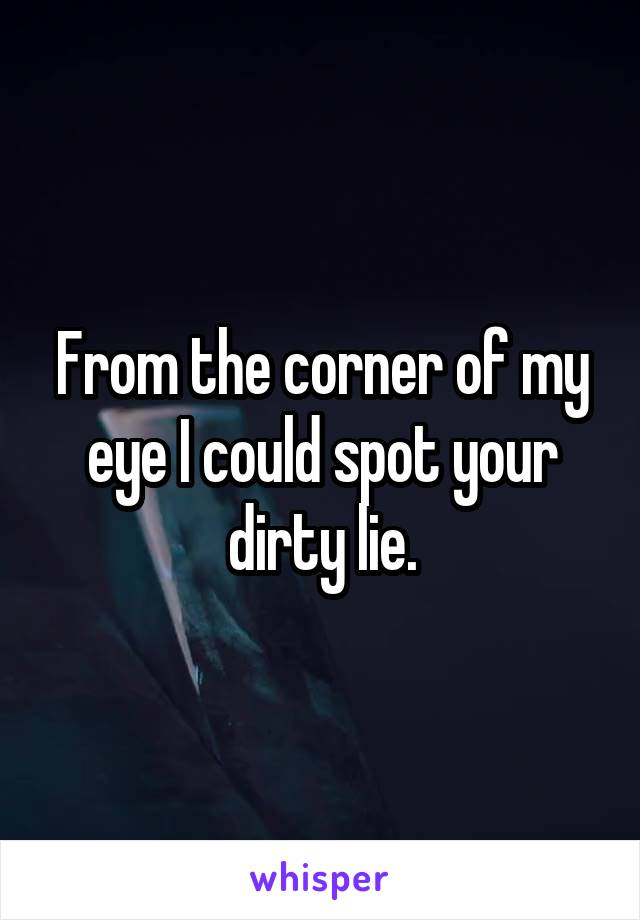 From the corner of my eye I could spot your dirty lie.