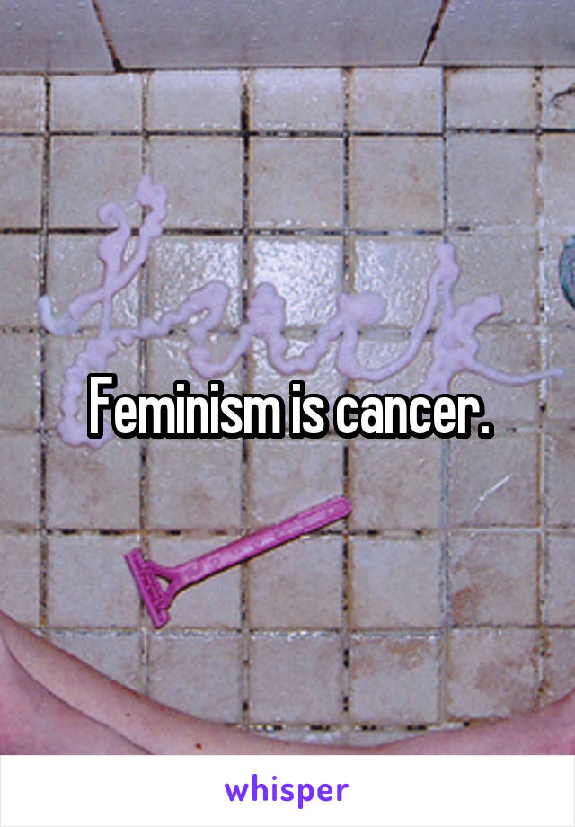 Feminism is cancer.