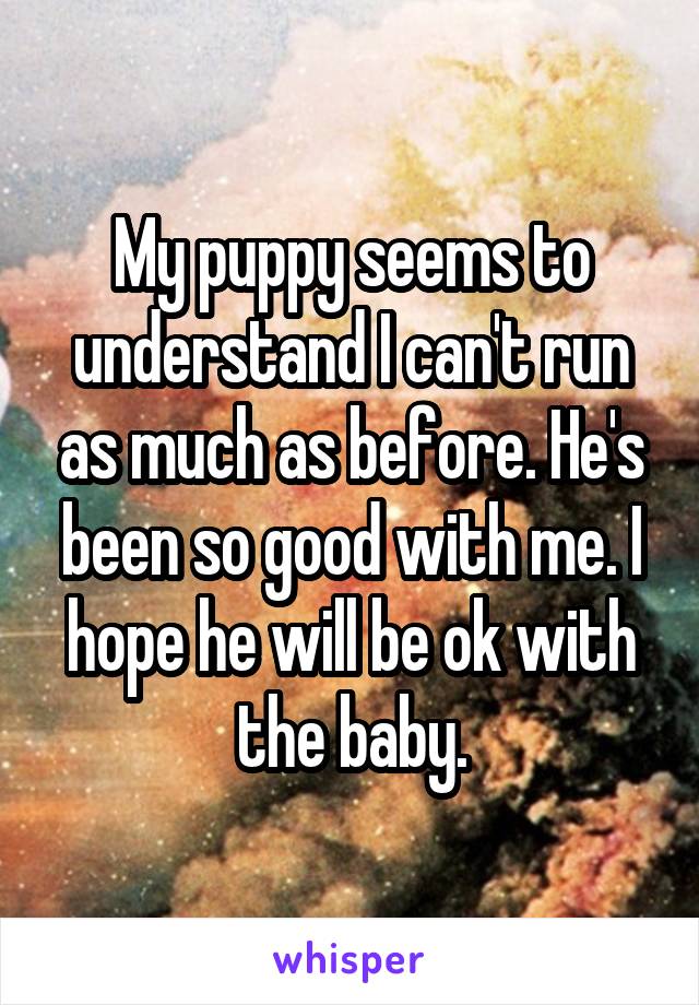 My puppy seems to understand I can't run as much as before. He's been so good with me. I hope he will be ok with the baby.