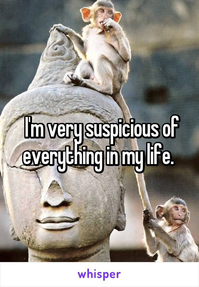  I'm very suspicious of everything in my life. 