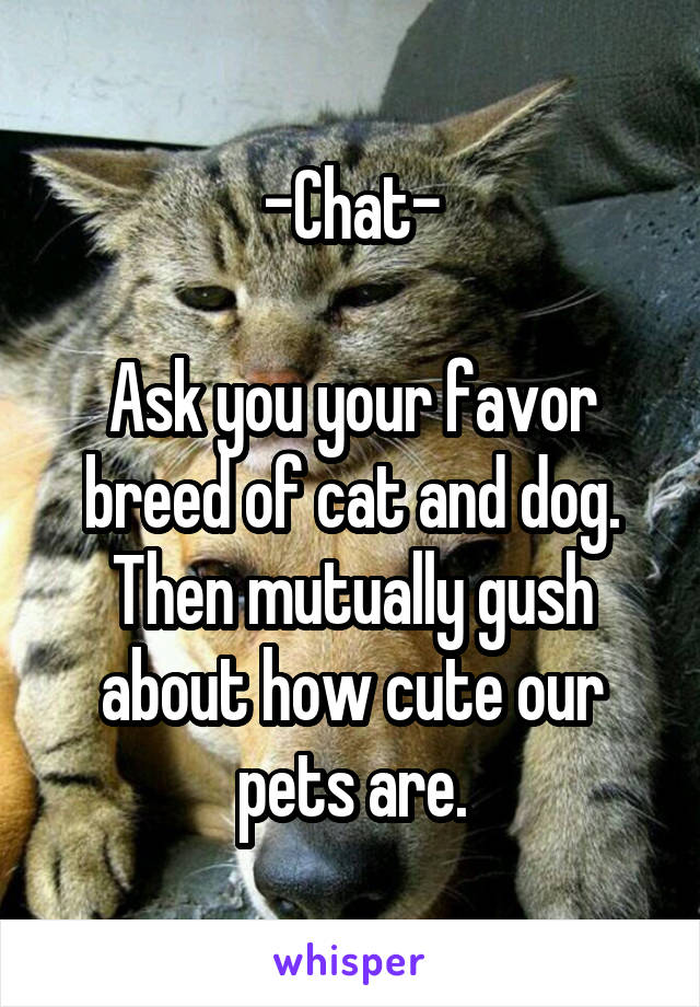 -Chat-

Ask you your favor breed of cat and dog. Then mutually gush about how cute our pets are.