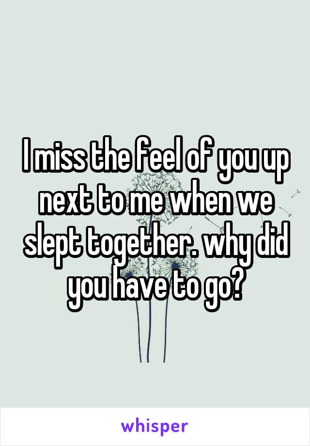 I miss the feel of you up next to me when we slept together. why did you have to go?