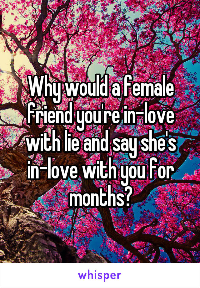 Why would a female friend you're in-love with lie and say she's in-love with you for months?