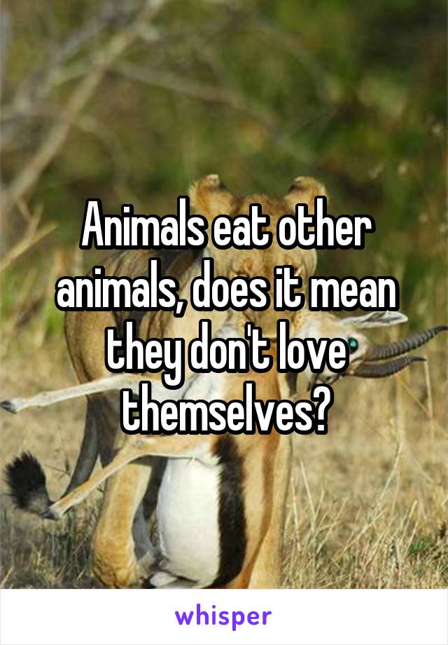 Animals eat other animals, does it mean they don't love themselves?