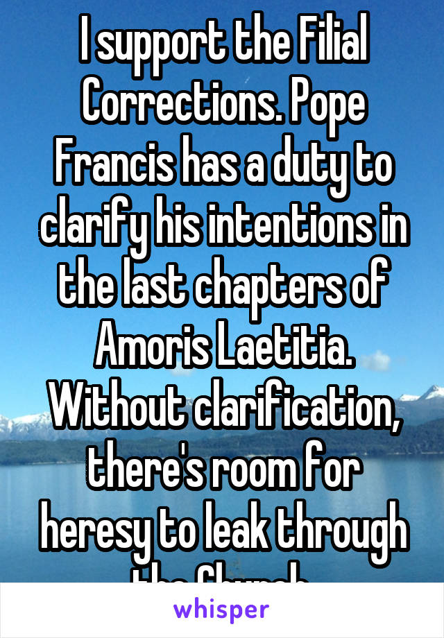 I support the Filial Corrections. Pope Francis has a duty to clarify his intentions in the last chapters of Amoris Laetitia. Without clarification, there's room for heresy to leak through the Church.