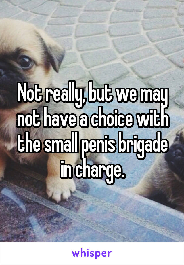 Not really, but we may not have a choice with the small penis brigade in charge.