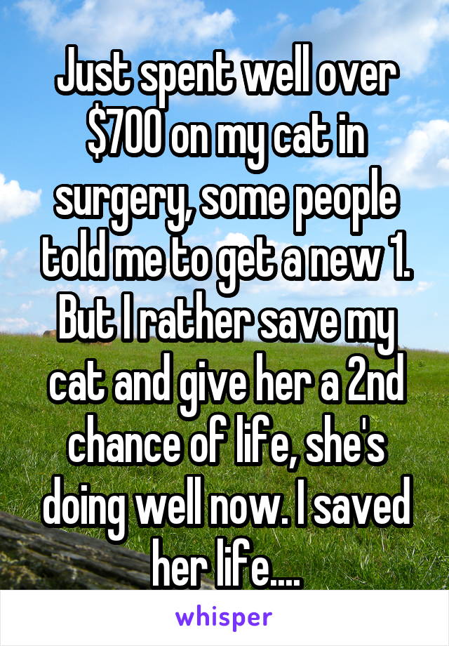 Just spent well over $700 on my cat in surgery, some people told me to get a new 1. But I rather save my cat and give her a 2nd chance of life, she's doing well now. I saved her life....