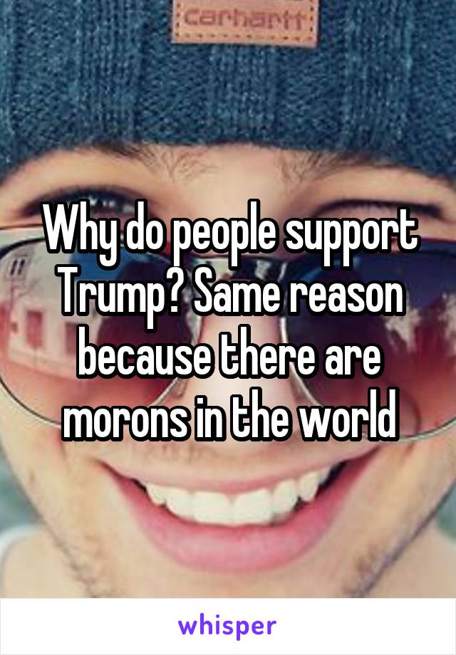 Why do people support Trump? Same reason because there are morons in the world