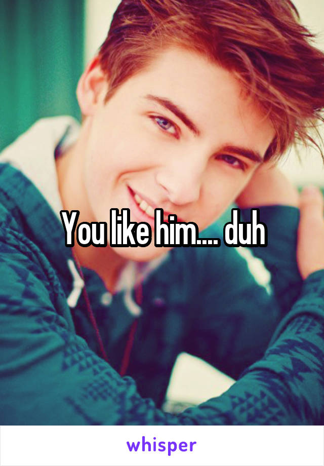 You like him.... duh