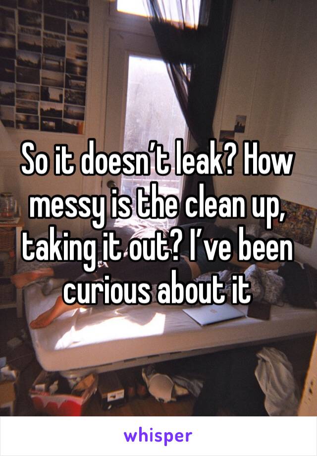 So it doesn’t leak? How messy is the clean up, taking it out? I’ve been curious about it